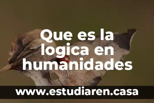 Que es la logica en humanidades