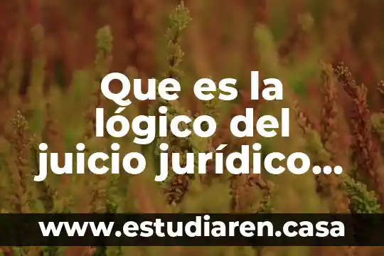 Que es la lógico del juicio jurídico en derecho