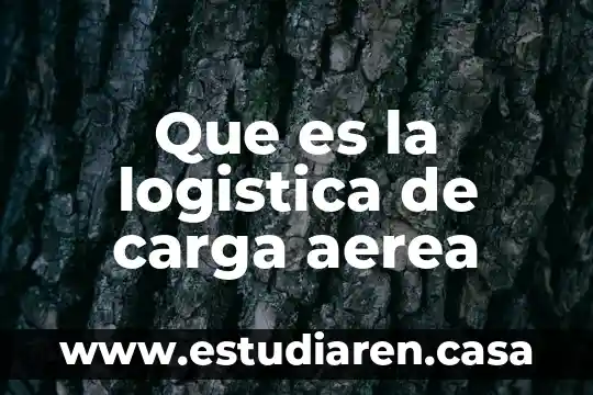 Que es la logistica de carga aerea