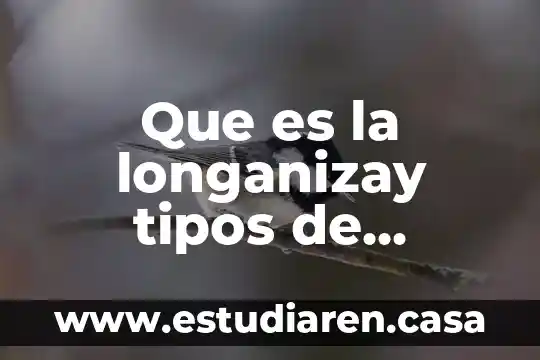 Que es la longanizay tipos de longaniza