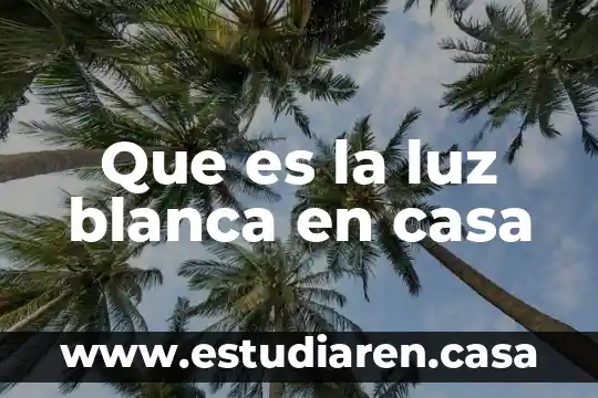 Que es una marca blanca ejemplos 6 Que es la luz blanca en casa