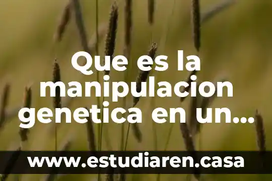 Que es la manipulacion genetica en un vegetal o planta