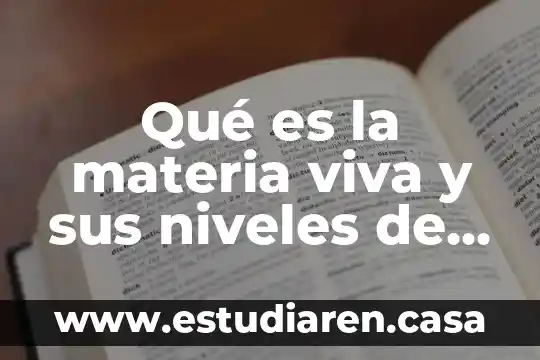 Que es roma y su organización política 4 Qué es la materia viva y sus niveles de organización