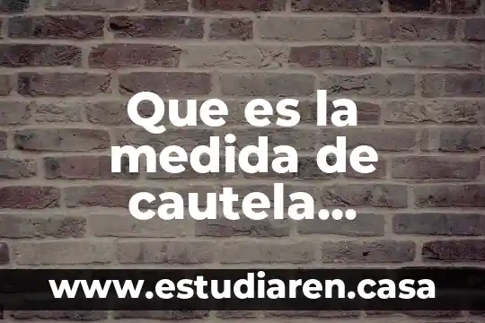 Que es it unidad de medida 8 Que es la medida de cautela latin.text