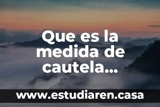 Que es it unidad de medida 7 Que es la medida de cautela latin.text