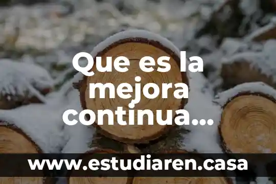 Que es la mejora continua ambiental