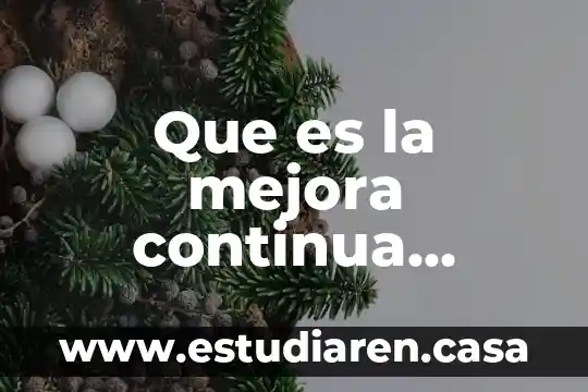 Que es un proyecto de mejora introduccion en sector salud 5 Que es la mejora continua personal