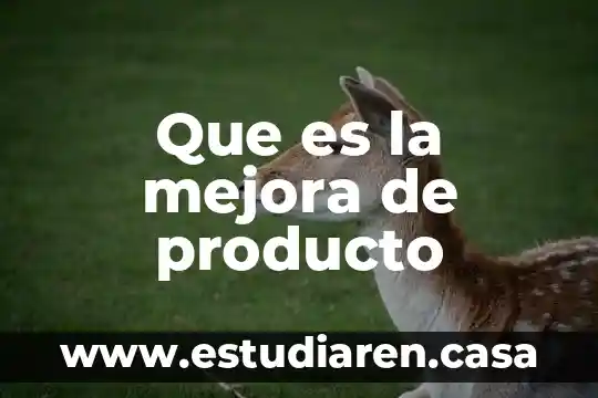 Que es la mejora de producto
