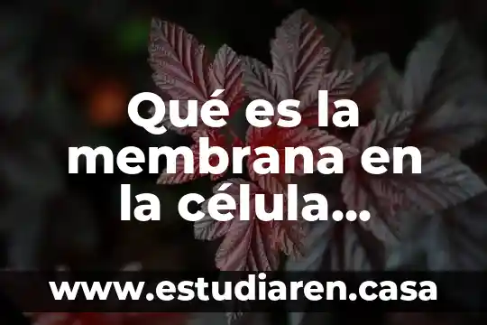 Qué es la membrana en la célula animal