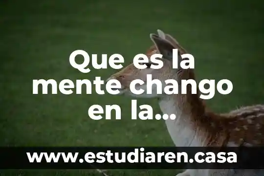 Que es la mente chango en la psicologia