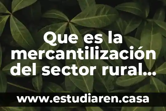 Que es sector empresarial definicion 8 Que es la mercantilización del sector rural resumen