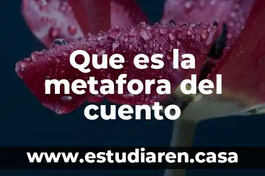 Qué es la metáfora explicada para niños 4 Que es la metafora del cuento