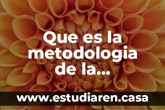 Que es un programa en metodologia 7 Que es la metodologia de la investigacion cientifica en tesis