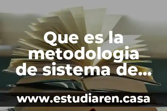 Que es el sistema de ecuaciones lineales con dos variables 8 Que es la metodologia de sistema de las ecuaciones lineales