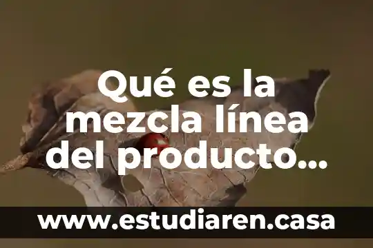 Qué es la mezcla línea del producto en mercadotecnia