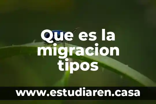 Que es la migracion tipos