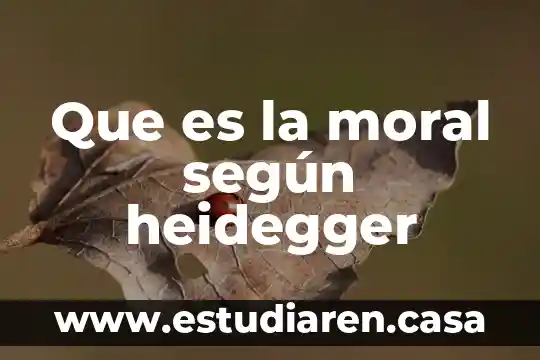 Que es una persona juridica en derecho moral y fisica 4 Que es la moral según heidegger