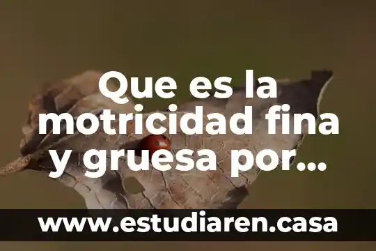 Que es una prueba de acuerdo con autores 4 Que es la motricidad fina y gruesa por autores