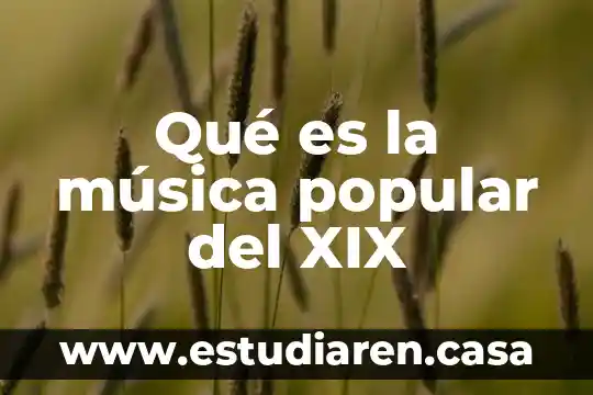 Que es el lenguaje coloquial o popular 8 Qué es la música popular del XIX