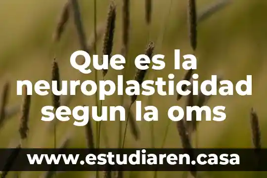 Que es la neuroplasticidad segun la oms