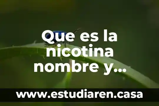 Que es la nicotina nombre y formula quimica