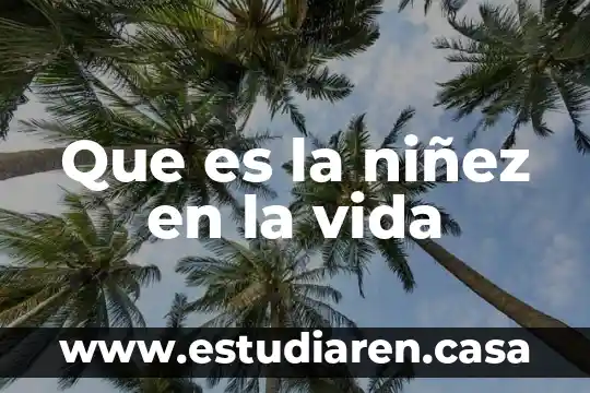 Que es la niñez en la vida