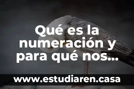Que es el sistema de numeracion maya y sus caracteristicas 4 Qué es la numeración y para qué nos sirve