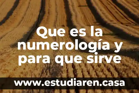 Sulfato de zinc que es y para que sirve 6 Que es la numerología y para que sirve