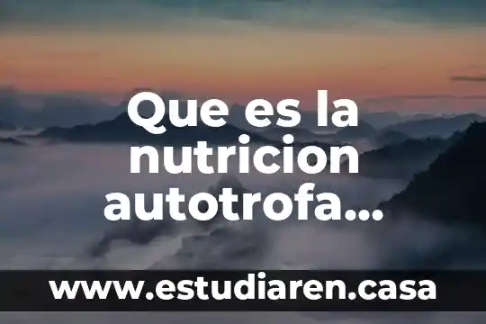 Adsorción que es en nutricion 7 Que es la nutricion autotrofa yahoo