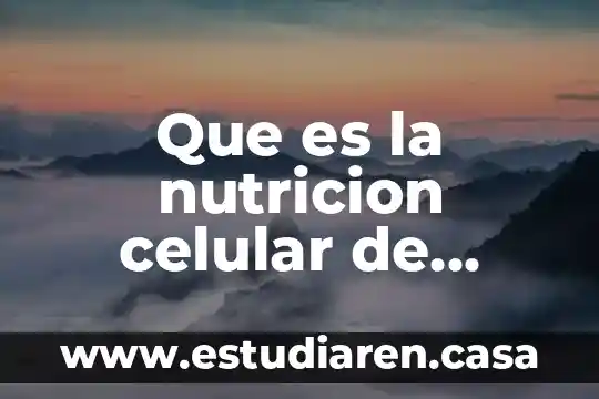 Que es la nutricion celular de herbalife