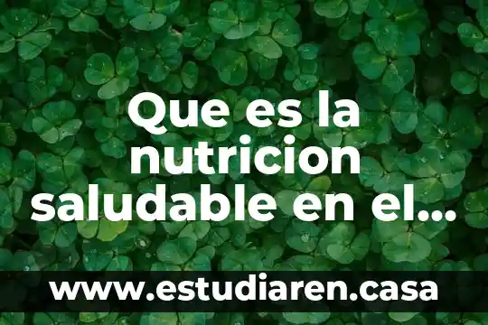 Adsorción que es en nutricion 6 Que es la nutricion saludable en el embarazo