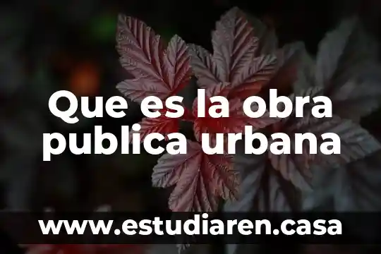 Que es la obra publica urbana