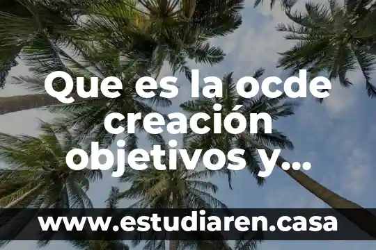 Que es la ocde resumen 3 Que es la ocde creación objetivos y países miembros