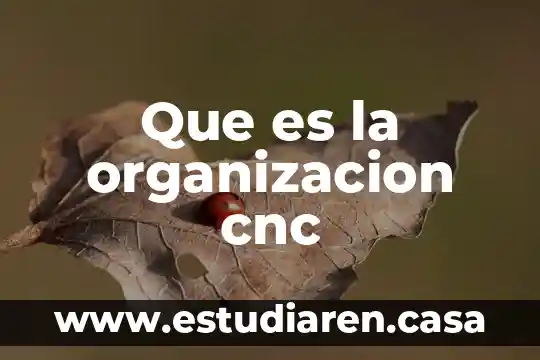 Que es un generador cnc optica 3 Que es la organizacion cnc