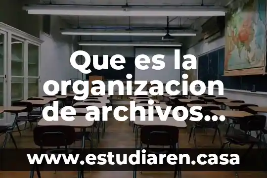 Que es la organizacion de archivos informatica