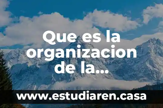 Que es la organizacion de la independencia