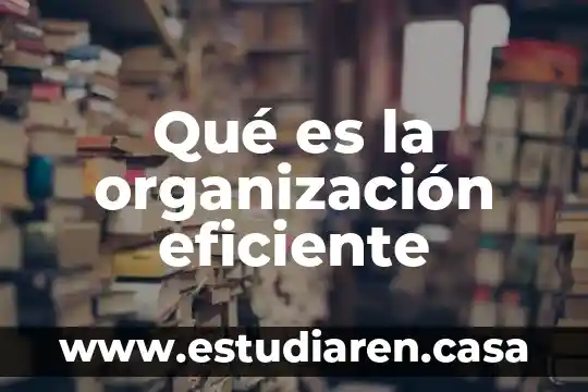 Qué es la organización eficiente