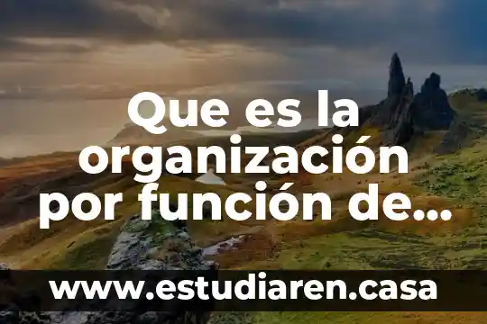Que es la organización por función de ventas