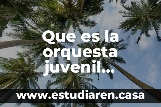 Que es la ilegibilidad documental causada por moho 3 Que es la orquesta juvenil documental
