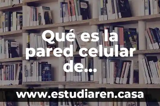 Qué es el antígeno específico de la pared celular 3 Qué es la pared celular de peptidoglicano