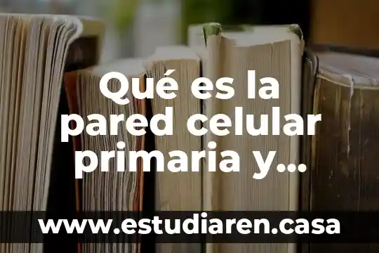 Qué es el antígeno específico de la pared celular 6 Qué es la pared celular primaria y secundaria