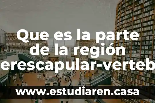 Qué es la parte y la contraparte en tv 5 Que es la parte de la región interescapular-vertebral