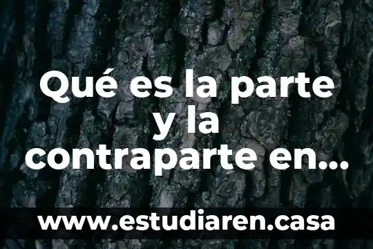 Parte de un todo que es representativa 8 Qué es la parte y la contraparte en tv