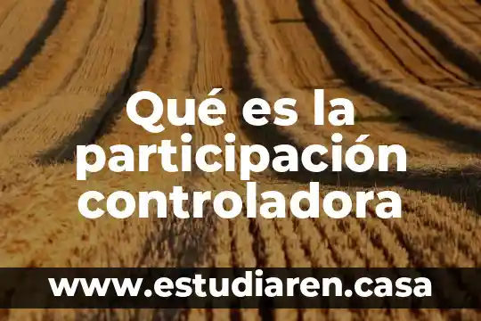 Tarjeta controladora que es 6 Qué es la participación controladora
