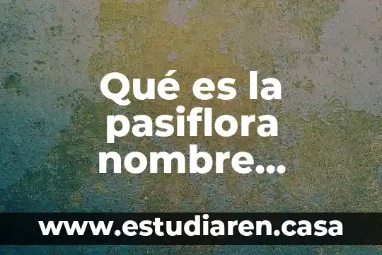 Qué es la pasiflora nombre científico
