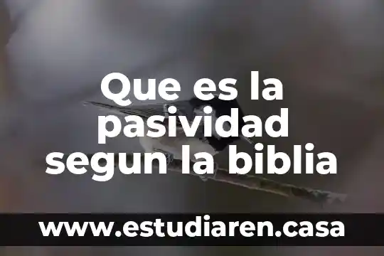 Desarrollo del lenguaje del niño que es según judith meece 3 Que es la pasividad segun la biblia