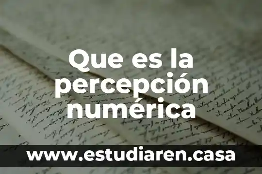 Artículos sobre que es la percepción 6 Que es la percepción numérica
