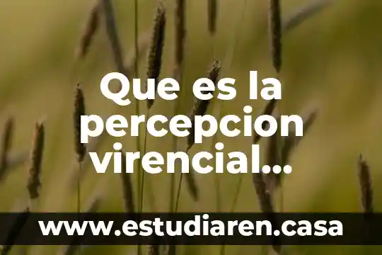 Que es la percepcion virencial psicologia