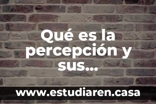 Artículos sobre que es la percepción 5 Qué es la percepción y sus características