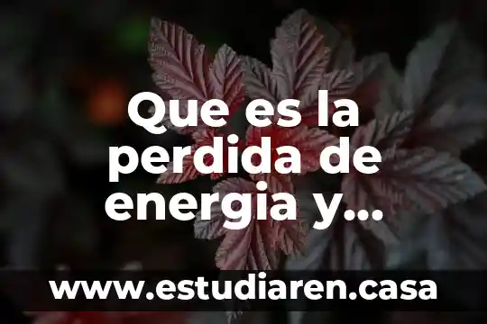 Que es la perdida en el espacio libre 7 Que es la perdida de energia y porque es causada